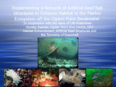 Implementing a Network of Artificial Reef Ball Structures to Enhance Habitat in the Marine Ecosystem off the Ogden Point Breakwater In cooperation with the Veins of Life Watershed Society, Ralmax, Ogden Point Dive Centre