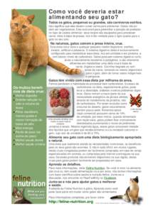 Como você deveria estar alimentando seu gato? Todos os gatos, pequenos ou grandes, são carnívoros estritos. Isso significa que eles devem comer carne para sobreviver. Gatos não podem ser vegetarianos. Eles evoluiram 