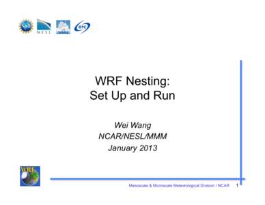 WRF Nesting: Set Up and Run Wei Wang NCAR/NESL/MMM January 2013