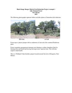 Black Range Ranger District Fuel Reduction Project, example 1 Gila National Forest New Mexico 2002 The following photographs represent before and after photos of hazardous fuel reduction.