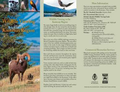 More Information  Wildlife Viewing in the Kootenay Region