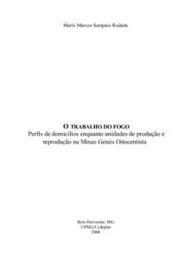 Mario Marcos Sampaio Rodarte.  O TRABALHO DO FOGO Perfis de domicílios enquanto unidades de produção e reprodução na Minas Gerais Oitocentista..