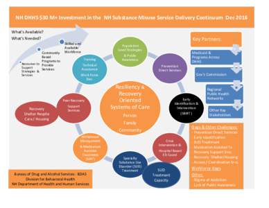 BDAS SUD Landscape Chart_JPHxlsx