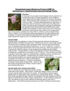 Standardized Impact Monitoring Protocol (SIMP) for Hadroplantus (= Ceutorhynchus) litura and Canada Thistle: Overview: A critical part of successful weed biological control programs is a monitoring process to measure pop