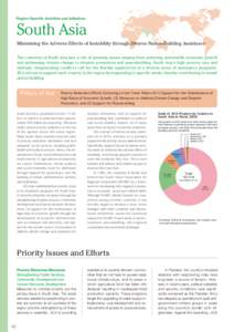 Region-Specific Activities and Initiatives  South Asia Minimizing the Adverse Effects of Instability through Diverse Nation-Building Assistance The countries of South Asia face a raft of pressing issues ranging from achi