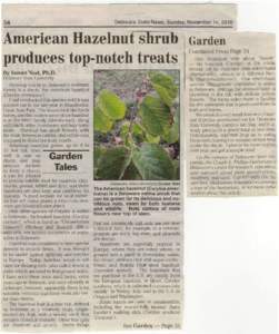 34  Delaware State News, Sunday, November 14, 2010 American Hazelnut shrub produces top-notch treats