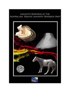 The Australian Equine Laminitis Research Unit (AELRU) is located within the School of Veterinary Science at The University of Queensland, St. Lucia, Queensland, Australia. The mission statement of the AELRU is: “To el