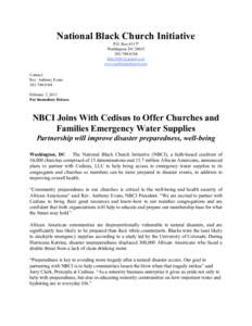 National Black Church Initiative  P.O. Box 65177  Washington, DC 20035  202­744­0184    www.naltblackchurch.com 