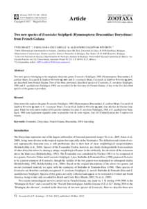 Two new species of Evaniodes Szépligeti (Hymenoptera: Braconidae: Doryctinae) from French Guiana