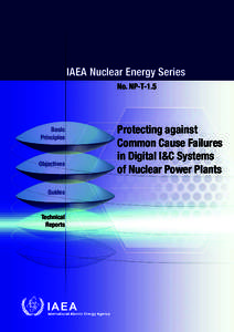 IAEA Nuclear Energy Series No. NP-T-1.5 Basic Principles