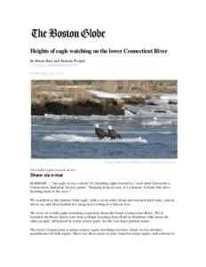 Heights of eagle watching on the lower Connecticut River By Diane Bair and Pamela Wright | GLOBE CORRESPONDENTS FEBRUARY 24, 2013  MARK YUKNAT/CONNECTICUT AUDUBON SOCIETY