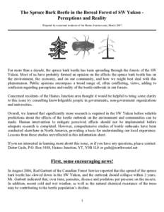 The Spruce Bark Beetle in the Boreal Forest of SW Yukon - Perceptions and Reality