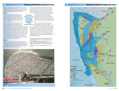 Ichthyology / Tlingit / Eulachon / Haisla / Pacific North Coast Integrated Management Area / Herring / Pacific herring / Smelt / Shoaling and schooling / Fish / Osmeridae / Clupeidae