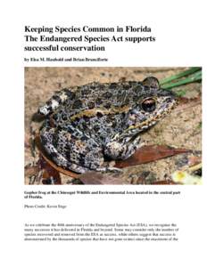 Keeping Species Common in Florida The Endangered Species Act supports successful conservation by Elsa M. Haubold and Brian Branciforte  Gopher frog at the Chinsegut Wildlife and Environmental Area located in the central 