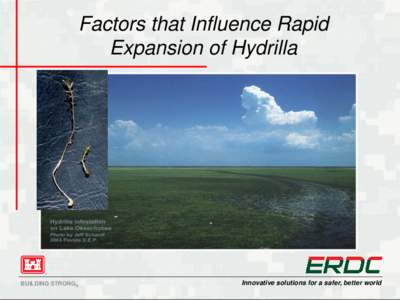 Factors that Influence Rapid Expansion of Hydrilla BUILDING STRONG®  Innovative solutions for a safer, better world