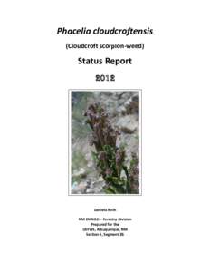 Phacelia cloudcroftensis (Cloudcroft scorpion-weed) Status Report 2012