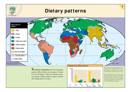 3 WORLD FOOD SUMMIT Dietary patterns