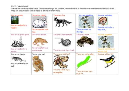 Ecology / Food chain / Systems ecology