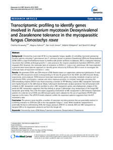 Exploring the gonad transcriptome of two extreme male pigs with RNA-seq