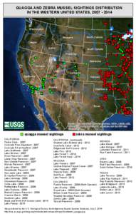 QUAGGA AND ZEBRA MUSSEL SIGHTINGS DISTRIBUTION IN THE WESTERN UNITED STATES, [removed] ) 