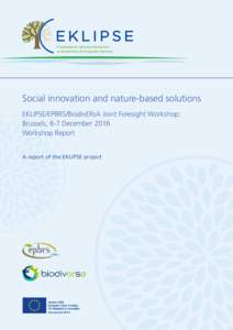 Social innovation and nature-based solutions EKLIPSE/EPBRS/BiodivERsA Joint Foresight Workshop: Brussels, 6-7 December 2016 Workshop Report A report of the EKLIPSE project