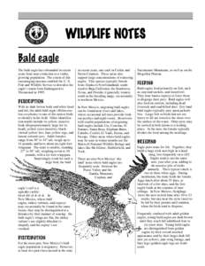 WILDLIFE NOTES Bald eagle The bald eagle has rebounded in recent years from near extinction to a viable, growing population. The extent of this encouraging increase enabled the U. S.