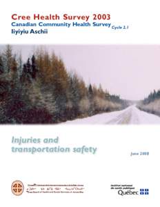Cree Health Survey 2003, Canadian Community Health Survey, Cycle 2.1, Iiyiyiu Aschii: Injuries and transportation safety