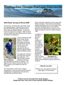 Wild Flower Surveys at Pierce NWR Camas lilies, chocolate lilies, tiger lilies, fringe cup, bleeding heart – these are just a few of the almost 160 wild flower species found at Pierce National Wildlife Refuge. For the 
