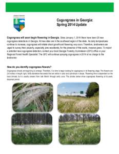 Cogongrass in Georgia: Spring 2014 Update Cogongrass will soon begin flowering in Georgia. Since January 1, 2014 there have been 20 new cogongrass detections in Georgia. All new sites are in the southwest region of the s