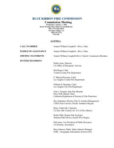 BLUE RIBBON FIRE COMMISSION Commission Meeting Wednesday, January 7, 2004 Hyatt Westlake Plaza Hotel, Grand Ballroom 880 S. Westlake Blvd. Westlake Village, CA