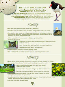LITTLE ST. SIMONS ISLAND  Naturalist Calendar
