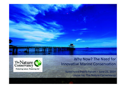 Why	
  Now?	
  The	
  Need	
  for	
  	
   Innova2ve	
  Marine	
  Conserva2on	
   	
   Sustainable	
  Pearls	
  Forum	
  –	
  June	
  21,	
  2014	
   Louisa	
  Ho,	
  The	
  Nature	
  Conservancy	
 