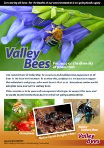 Conserving all bees : for the health of our environment and on-going food supply  Focusing on the diversity of pollinators The commitment of Valley Bees is to nurture and maintain the population of all bees in the local 