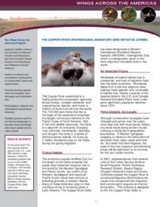 The Wings Across the Americas Program: THE COPPER RIVER INTERNATIONAL MIGRATORY BIRD INITIATIVE (CRIMBI) has been designated a Western Hemisphere Shorebird Reserve