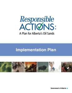 : Implementation Plan Implementation Plan  Introduction and Background