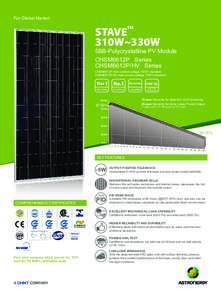 For Global Market  STAVE 310W~330W TM