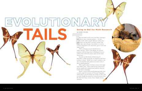 TAILS T  Going to Bat for Moth Research The luna moth can live just seven days, assuming it can evade its most voracious predator — the bat.