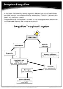 Ecosystem Energy Flow  An ecosystem is a community of living organisms (different species) that interact with each other and their non-living surroundings (water, waves, current) in a defined space (beach, rock pool, dun
