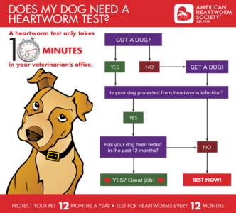 DOES MY DOG NEED A HEARTWORM TEST? A heartworm test only takes 1