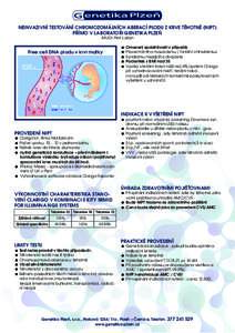 NEINVAZIVNÍ TESTOVÁNÍ CHROMOZOMÁLNÍCH ABERACÍ PLODU Z KRVE TĚHOTNÉ (NIPT) PŘÍMO V LABORATOŘI GENETIKA PLZEŇ MUDr. Petr Lošan Free cell DNA plodu v krvi matky