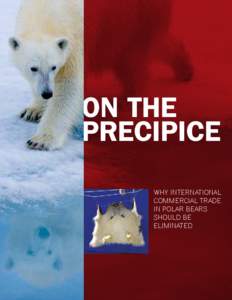 On the Precipice Why International Commercial Trade in Polar Bears Should Be