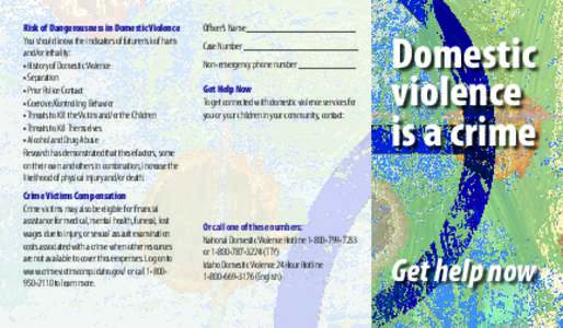 Risk of Dangerousness in Domestic Violence You should know the indicators of future risk of harm and/or lethality: • History of Domestic Violence • Separation • Prior Police Contact