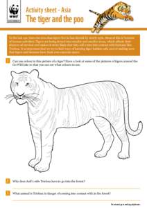 Activity sheet - Asia GO WILD DOWNLOAD The tiger and the poo  In	the	last	150	years	the	area	that	tigers	live	in	has	shrunk	by	nearly	95%.	Most	of	this	is	because