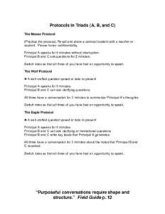 Microsoft Word - #4 Protocols in Triads.doc