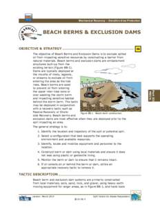 Mechanical Recovery – Sensitive Area Protection  BEACH BERMS & EXCLUSION DAMS m