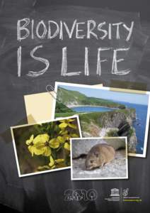 www.unesco.org.uk  2 Biodiversity is life You are biodiversity. Most of the oxygen you breathe comes from plankton in