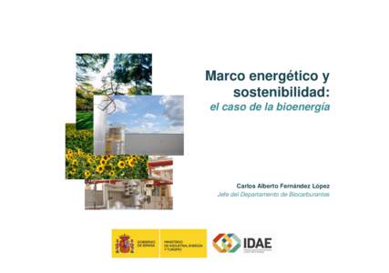 Marco energético y sostenibilidad: el caso de la bioenergía Carlos Alberto Fernández López Jefe del Departamento de Biocarburantes