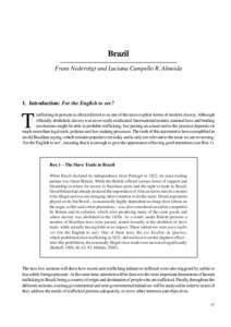 BRAZIL  Brazil Frans Nederstigt and Luciana Campello R. Almeida  1. Introduction: For the English to see?
