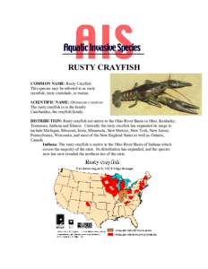 Microsoft Word - RUSTY CRAYFISH.doc