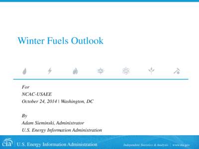 Chemistry / Fuel gas / Oils / Liquid fuels / Fuels / Natural gas / Fuel oil / Propane / Ultra-low-sulfur diesel / Soft matter / Petroleum products / Matter